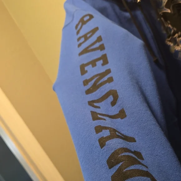 Blue Ravenclaw Hoodie - Picture 4 of 6